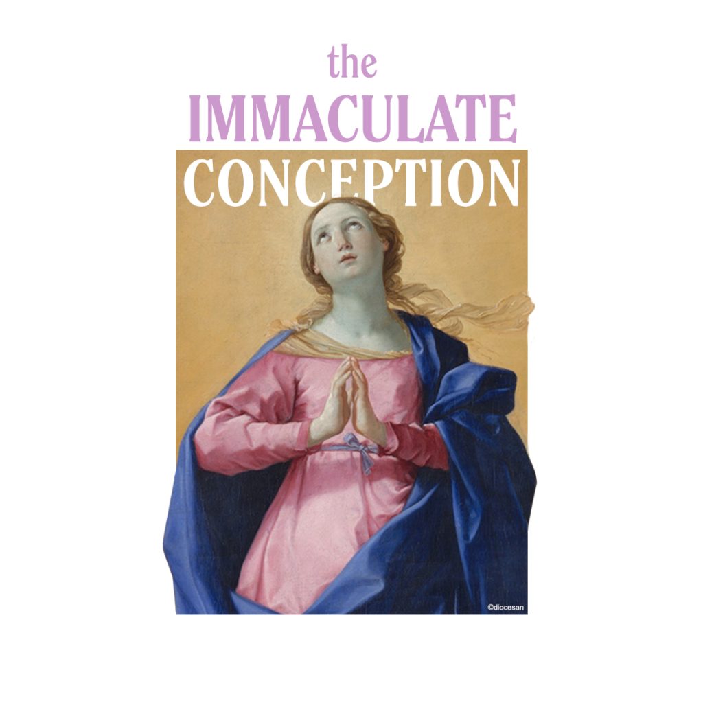 Immaculate Conception of the Blessed Virgin Mary